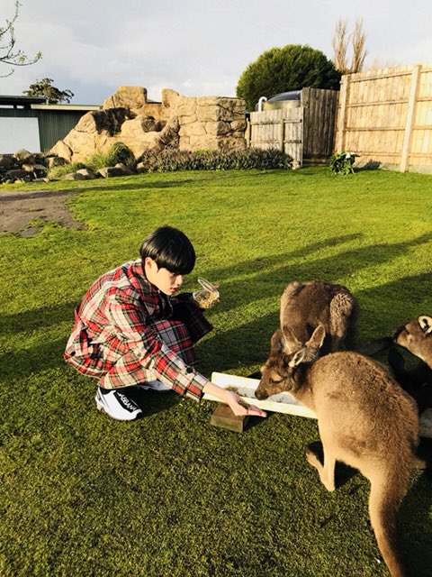 another legendary lovecafe. feeding the animal around them at their melbourne zoo date 