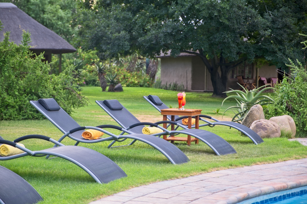 ChrislinAddo's tweet photo. In the summer months (November to April) guests love to enjoy time around our swimming pool, especially after a day out on safari into the nearby Big 7 Addo Elephant National Park. A cocktail then dinner at our in-house Sneezewoods restaurant. #chrislinafricanlodge https://t.co/p5y5zz1Bfr