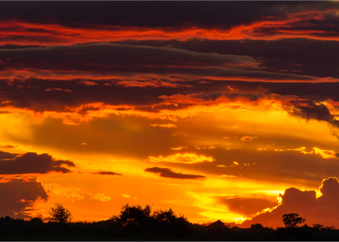 O the magical skies of Botswana, each one beautiful in its own way.

Come and experience Botswana with us. underonebotswanasky.com

Picture by our guest Gerda Robbertse

#botswana #experience #africa #magical #skies #sunset #bucketlist