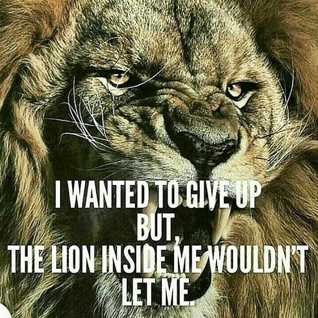 Tim_Osteostrong's tweet photo. #osteostrong https://t.co/JbYpUWiSEv