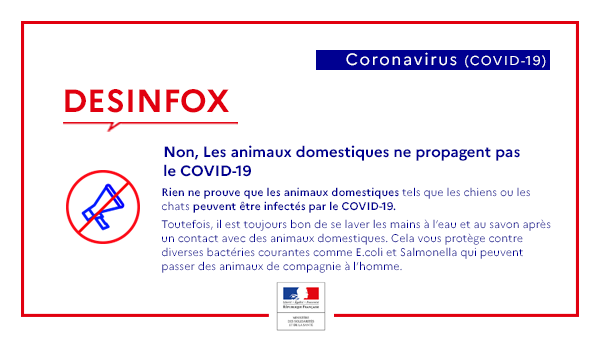 #Coronavirus | Désinfox
❌ Non, Les animaux domestiques ne propagent pas le #COVID19 
✅ À l’heure actuelle, rien ne prouve que les animaux de compagnie (chiens ou chats) peuvent être infectés 

👉 ow.ly/NnhB50yFFDR