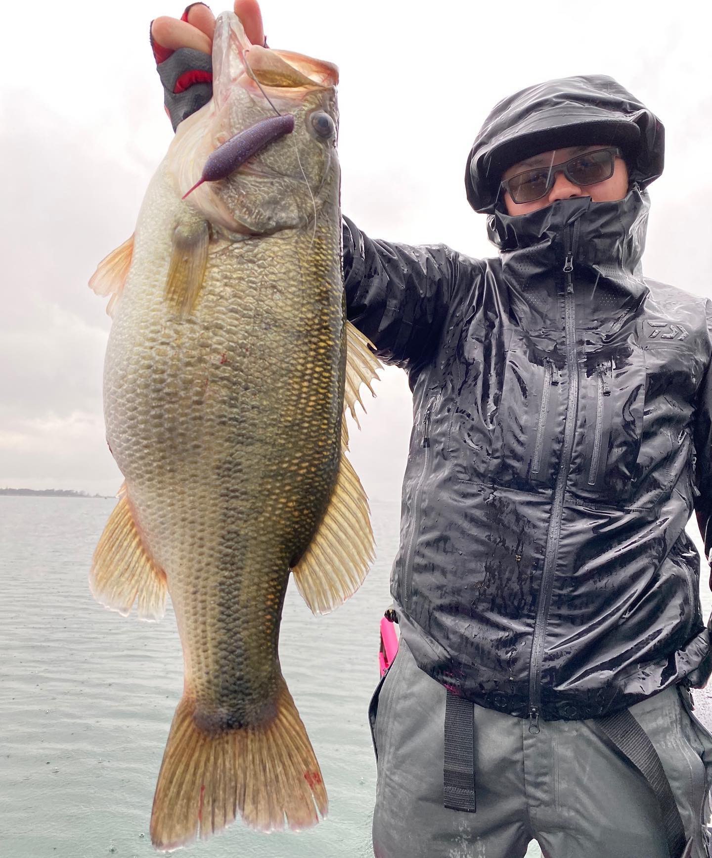 Uzivatel Geecrack Na Twitteru イモリッパー95 琵琶湖で釣れてます Pepz01ksmigdrys Geecrack ジークラック イモリッパー 琵琶湖 ヤマピーガイド 高比重ワーム T Co Jzw3cfcz0v Twitter