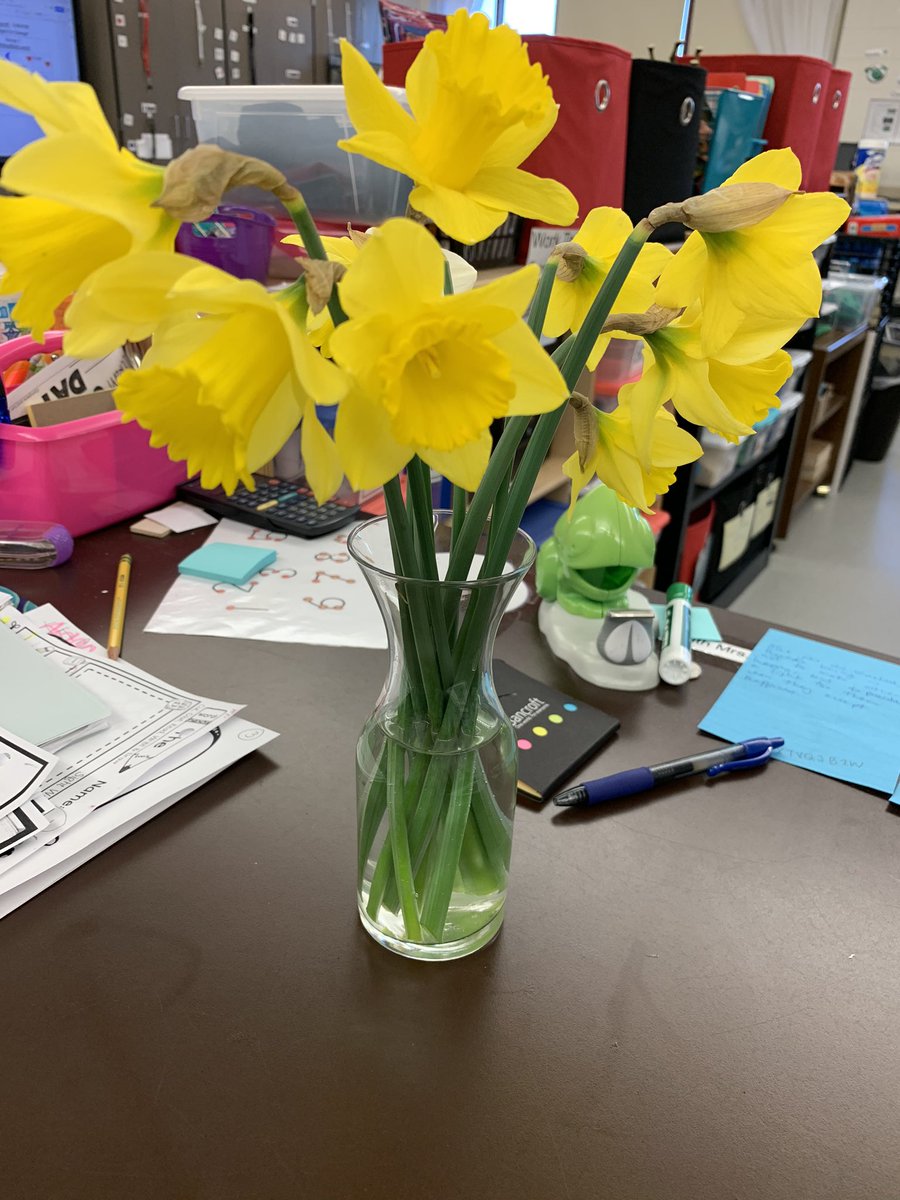 When one of your students brings in flowers, it makes your day! 🌟

Thank you to Gage for brining in some beautiful Daffodils to brighten our classroom and fill it with spring time cheer. 🤗

@MrsSmithROBMS #bulldogbrag #brackmanbulldogs #barnegatpride #cheerful <a href="/BarnegatSchools/">Dr. Brian Latwis</a>