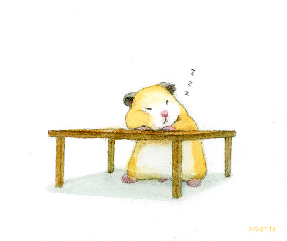 no humans sleeping white background zzz simple background table animal focus  illustration images