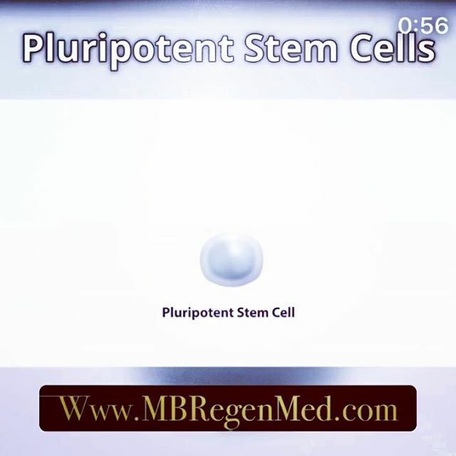 MBSC22's tweet photo. Learn more about the power that made the body

Call us today to attend one of our popular FREE educational lectures on regenerative medicine.  843-236-9090 #livelongerlivehealthier #scienceandbiology https://t.co/D546WA9RYb https://t.co/7bx5d9hzLL
