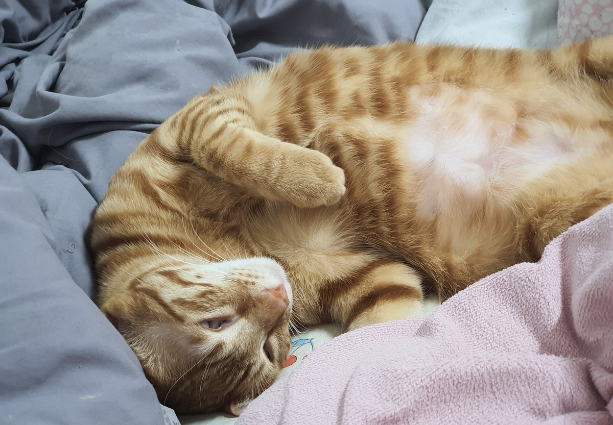 눈을 왜 그렇게 뜨고 자?!? 😤