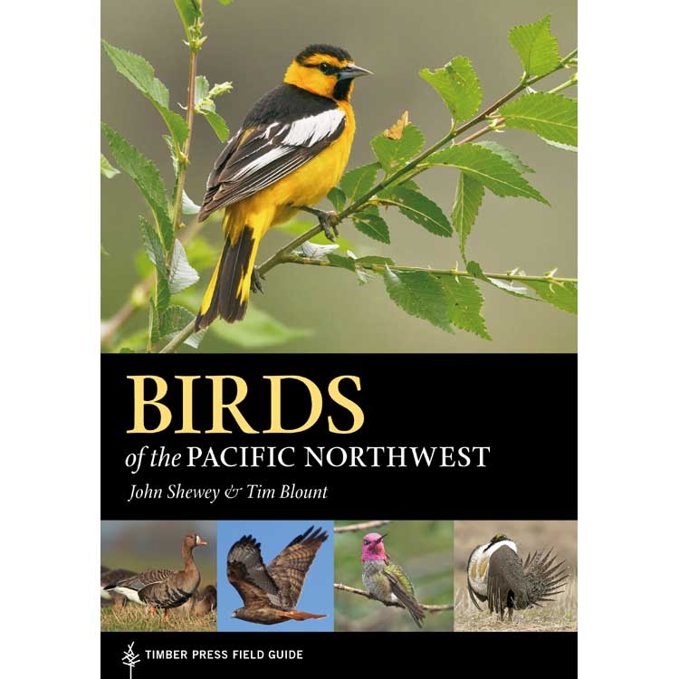 ButeoBooks's tweet photo. New field guide to Birds of the Pacific Northwest now in stock at https://t.co/RiBEvmEXsX Let's go #BirdingOregon #BirdingWashington #BirdingIdaho #BirdingBC https://t.co/pPOYYslABy
