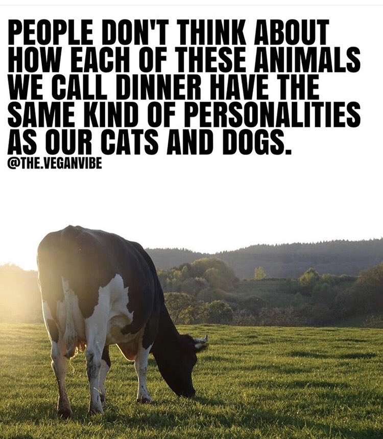 paulakkfreialbu's tweet photo. #youhavethechoice #choosekindness #choosecompassion #veganism #saveourplanet #motherearth #doyourpart #youractions #echoes #govegan #veganfortheplanet #veganfortheanimals #veganfortheenvironment #newearth #climatechange #climateemergency #bekind #bekindtoanimals #donoteatanimals https://t.co/fssfzTvUIk