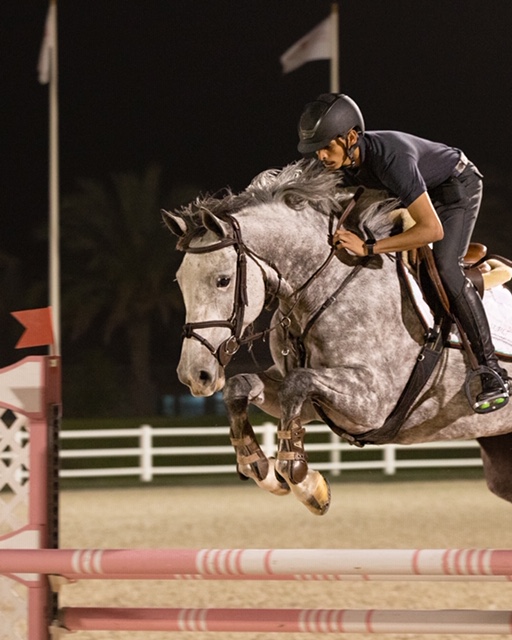 EEC_UAE's tweet photo. Images from the Dressage and Showjumping training show at the #EmiratesEquestrianCentre on March 9th 2020. https://t.co/00lRpX3npY