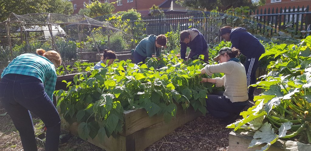 Green Workshop ‘Intro to Organic Gardening Techniques’ this Sunday afternoon at the Farm: surreydocksfarm.org.uk/workshops/
Book now to:
✔️learn organic gardening principles
✔️gain practical skills
✔️meet like-minded people
✔️get outside
✔️take home seedlings
