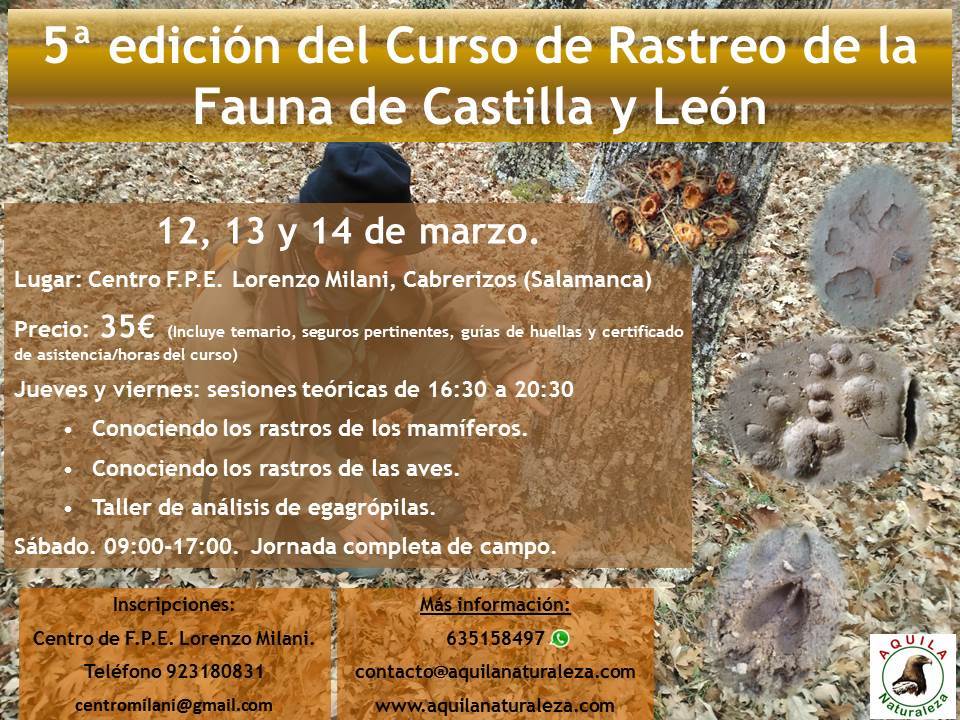 cienciaen's tweet photo. 5° edición del curso de rastreo de la fauna en Castilla y León #CienciaenSalamanca #Salamanca https://t.co/xBkHYtDalU https://t.co/kKgLC70SkU