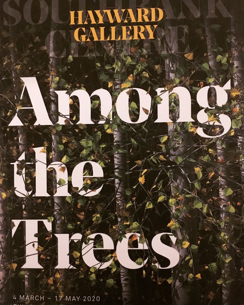 HENLEYDARREN's tweet image. Absolutely loved #AmongTheTrees curated by Ralph Rugoff at #ACEsupported @HaywardGallery at @southbankcentre - it captures the natural world brilliantly and transports it to the centre of our capital city. Uplifting to pause and contemplate surrounded by nature. On til 17th May.