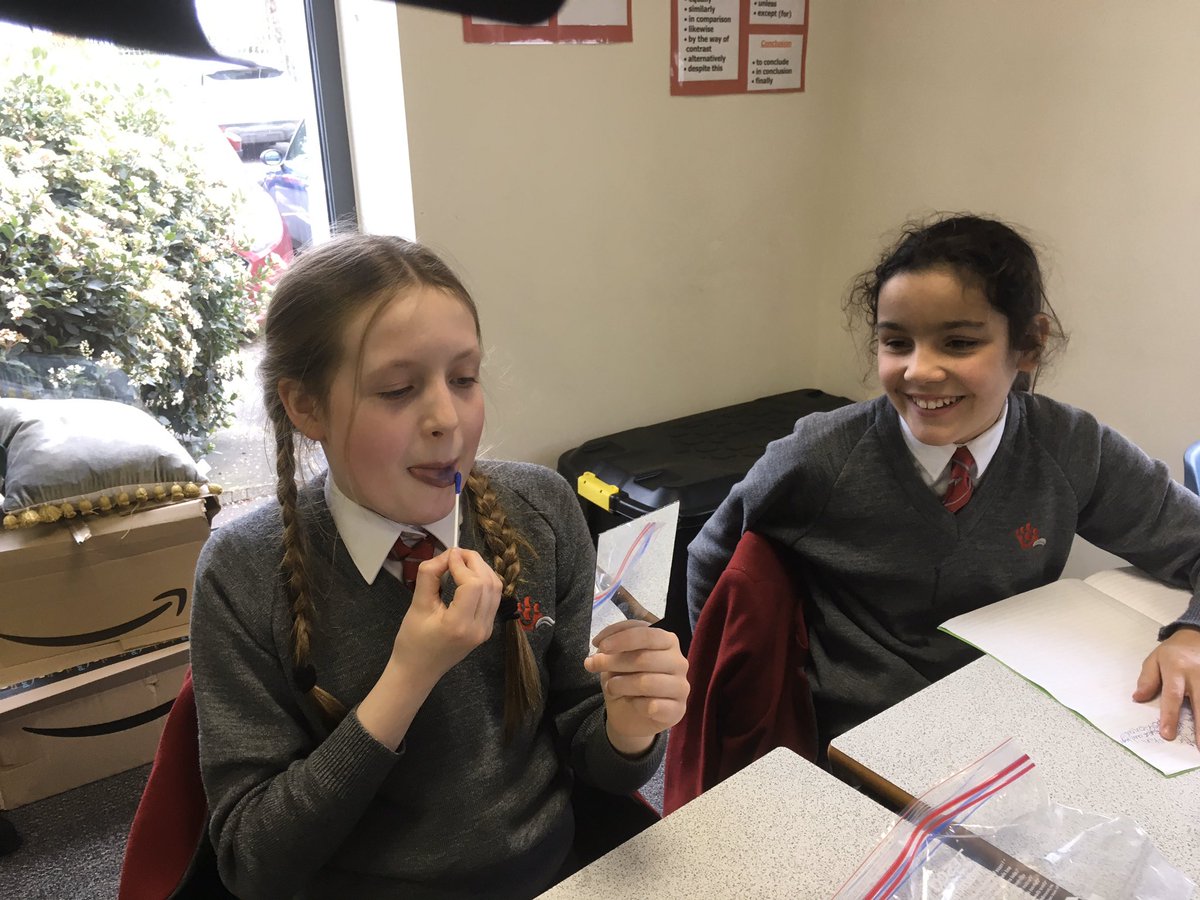 YMS_Science's tweet photo. Year 5 and 6 have been finding out about human diversity -starting with taste. Are you a super taster? #BritishScienceWeek #handsonscience #inspiringscientists https://t.co/XESgmOZ9bd