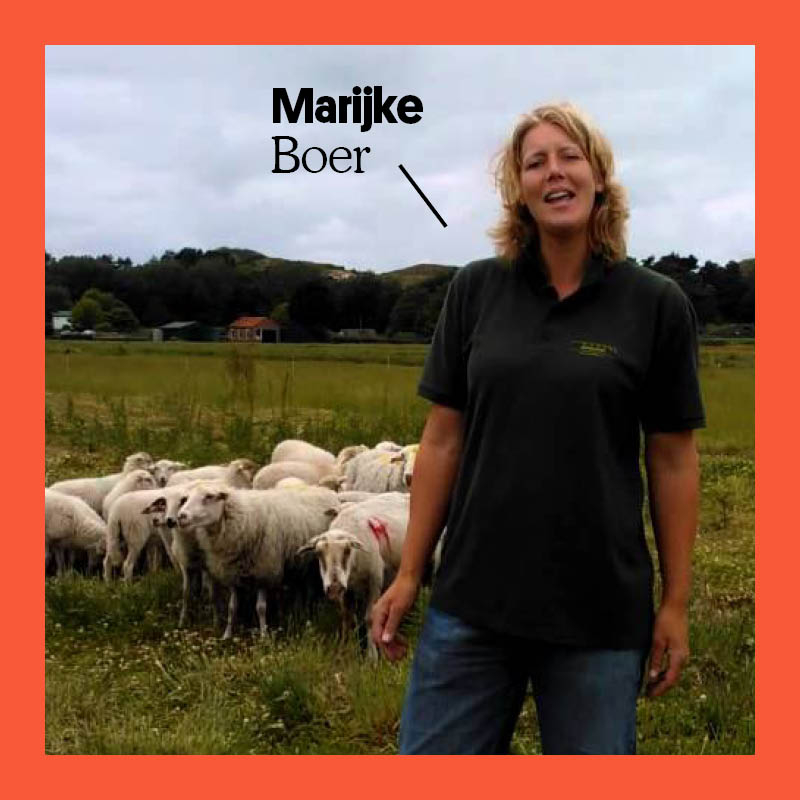 boerenfamilie's tweet photo. Noord-Hollands bekendste schaapsherder π doet mee aan de #Boerenversneller! @puurherder wil haar schaapskudde en het land waarop zij grazen binnen drie jaar volledig circulair hebben en in zetten voor natuurbeheer.
Lees hier hoe Marijke dat gaat doen https://t.co/2aAvSlvkuu https://t.co/pYYm9Iy0fE
