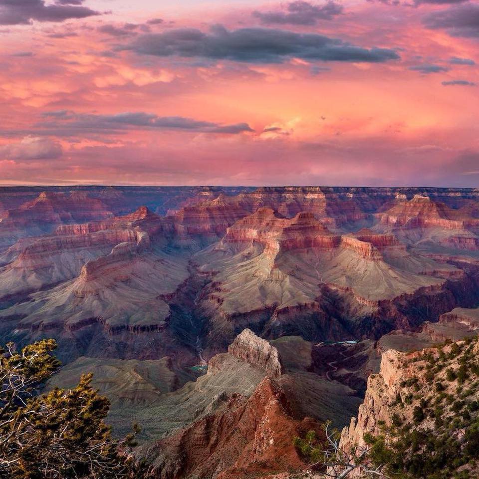 ColaJessice's tweet image. 