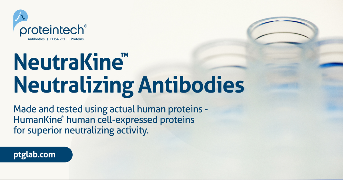 Proteintech’s NeutraKine™ neutralizing antibodies are made using HumanKine® human-expressed cytokines and growth factors.

Click here: ow.ly/wLJW50yGU9N
