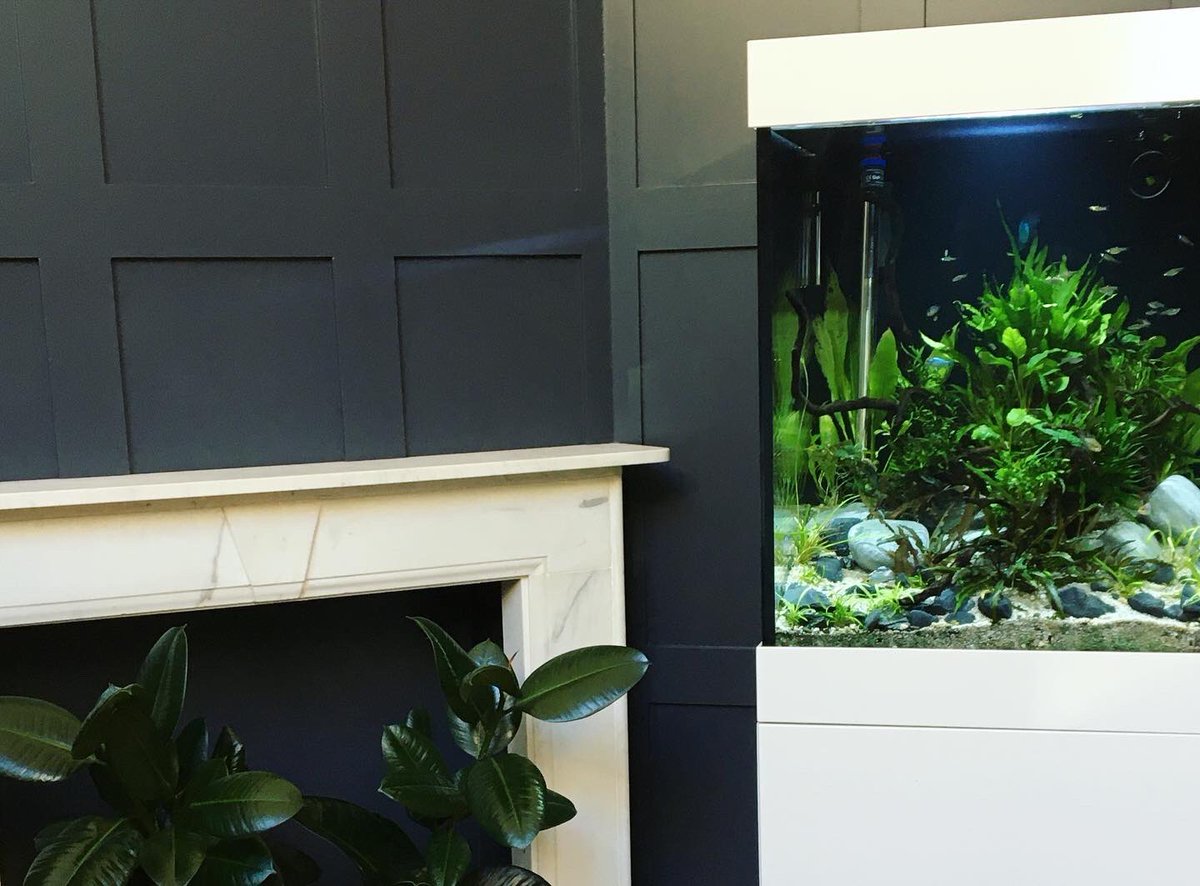 DesignJq's tweet image. Don’t forget we are open for breakfast until 10am for today only as part of our Birmingham wellbeing week!! Start your day the right way with a selection of delicious healthy food and freshly made smoothies whilst admiring the aquariums 🤩🥑🍓🐠