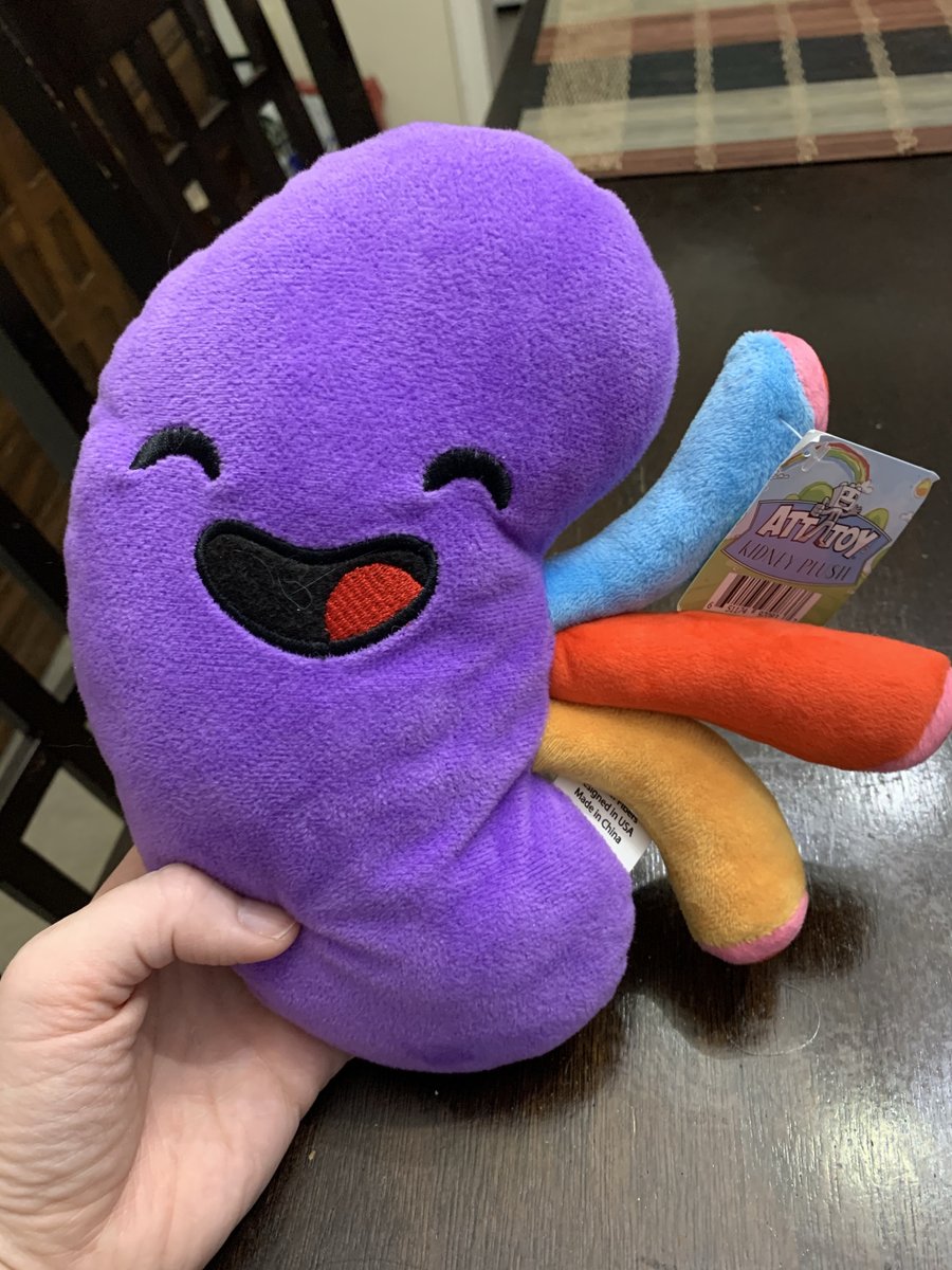 ChickenHerding's tweet photo. Transplant Day https://t.co/CtHmyfUTOK https://t.co/3RyzSBEZUV