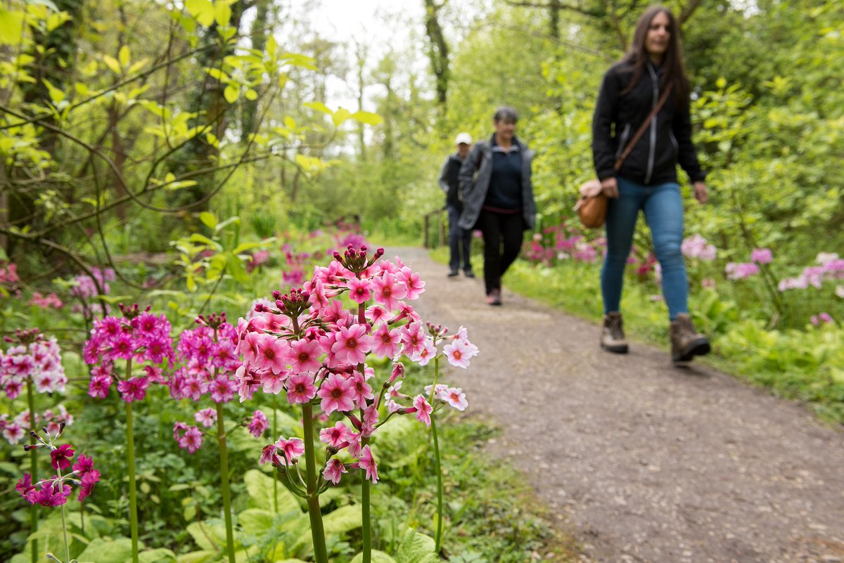 VisitNorwich tweet media