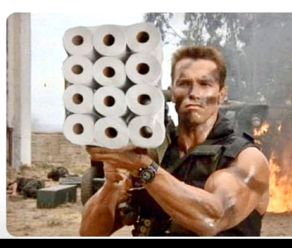 This wins 'meme of the month for me' 🤣🤣🤣 So someone asked  @Schwarzenegger, “Arnie, where'd you get those toilet rolls bro?” Arnold  replied, ”Aisle B, back”, image size:979x833