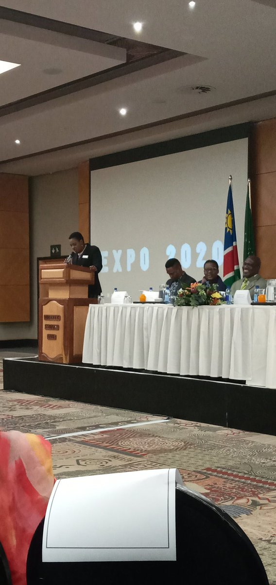 NTFNamibia's tweet photo. Ms Charity Mwiya, CEO of the @NCCI_Chamber talking about the role of the private sector in Namibia's participation in the Dubai World Expo 2020 #MITSMED #NTFNamibia @NamPavilion #NamibiaExpo2020Dubai https://t.co/AUWkCZpbBq