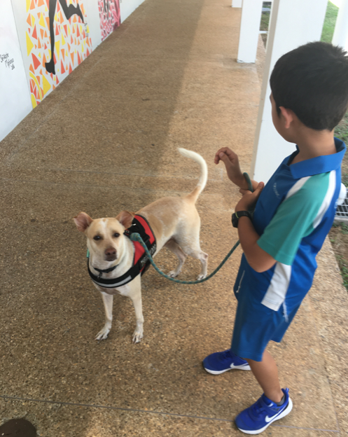 jayhmcbride's tweet photo. As a school leader, days are complex; recent weeks even more so. Today was a good reminder about the joy of just walking around @UWCThailand as I ran into a student who was put walking our adopted therapy dog. I guess the student & I both needed Archie today. π
#thankyouArchie https://t.co/2x6fXfsBsr