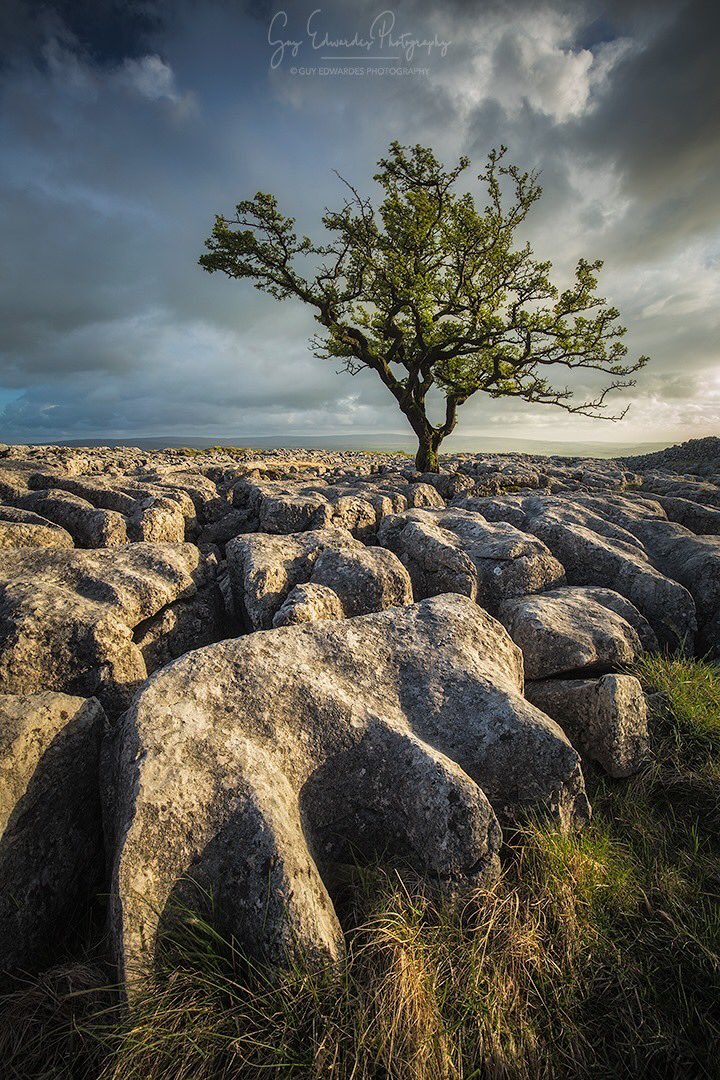 Beautiful limestone pavement taken in the Yorkshire Dales National Park during a workshop I was running there a couple of years ago.

© Guy Edwardes Photography

#yorkshire #yorkshiredales #yorkshiredalesnationalpark #beautifulbritain #ordnancesurvey #landscape #limestonepavement