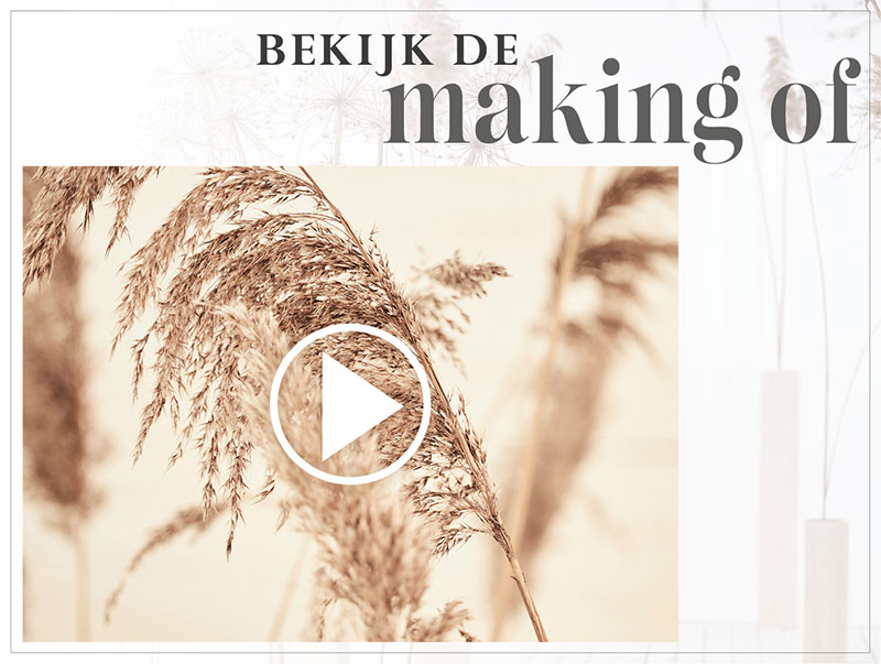 Roetgerink Mode tweet media