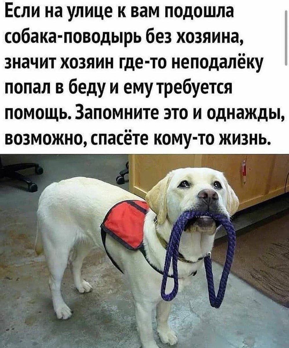 А также важно не остаться равнодушным и не пройти мимо!