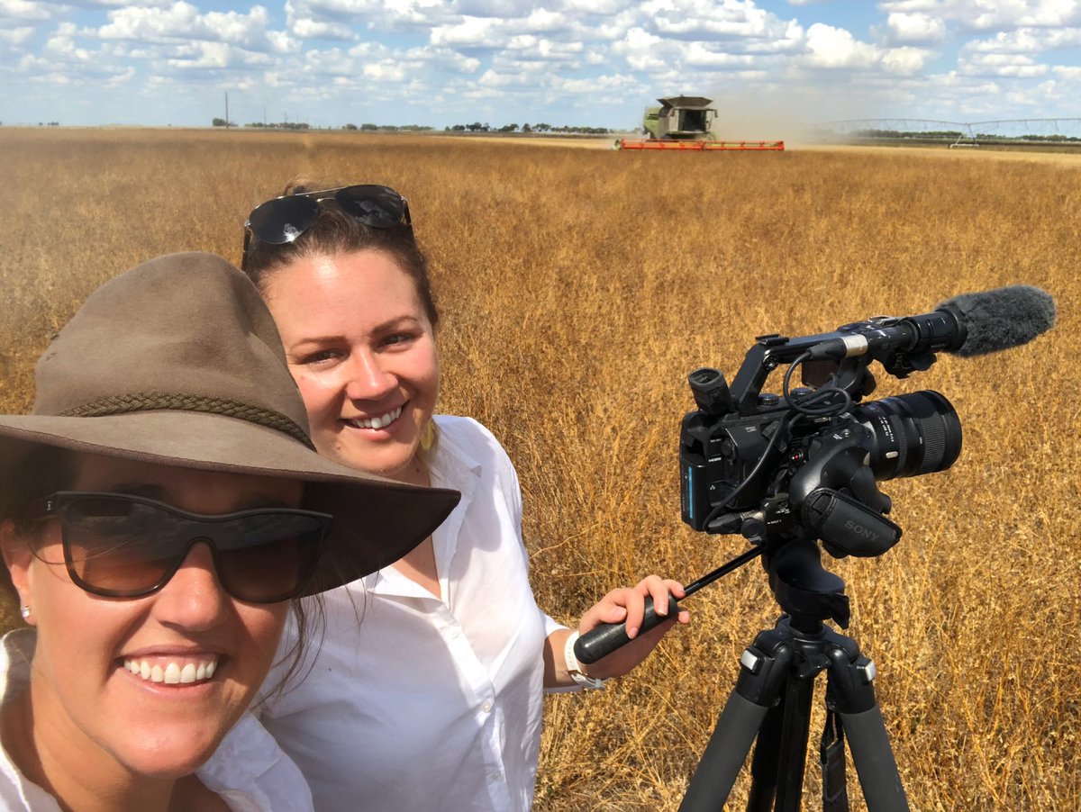helloFriday's tweet image. On location today in sunny South Australia filming one of the last days of harvest for the season. Any guess where we are? #agchatoz #aussieag #biz #southaustralia