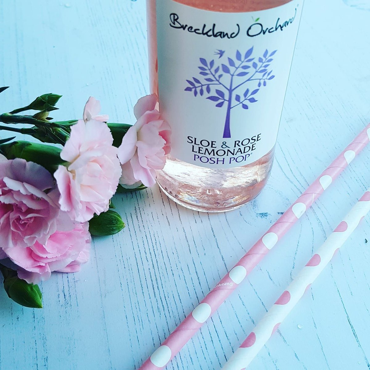 WaterfallsFB's tweet photo. One of the favourites here in the Middle East is Sloe &amp; Rose and Lemonade from the Breckland Orchard Range. 
To see the full range visit https://t.co/fIiW8eHD86
#poshpop #madeinuk #notinsupermarkets #tasty #uae #hotels #restaurants #cafe https://t.co/pxoGVlfW1F