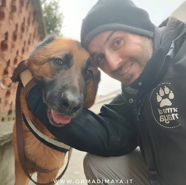 Buongiorno🐾 Ricordate che i nostri amici hanno comunque bisogno di uscire! La gestione quotidiana degli animali domestici rientra nelle situazioni di estrema necessità! 🐶☝️
#dogsittertorino #dogsitter #dogwalker #dogwalkertorino #dogsittinglife #tori… ift.tt/3aMq0b2