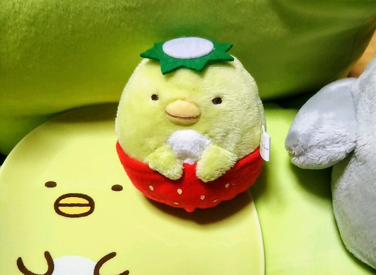 よーちん בטוויטר また増えたぺんちゃんグッズ紹介 しろちゃんは白で汚れ目立ちそうで集めるの躊躇っちゃうけど こちらは洗濯ネットなので大丈夫と思い購入 カッパぺんちゃんギャン可愛くないですか あとぺんちゃんは足が最高にプリティなんです 3枚の足だけが出