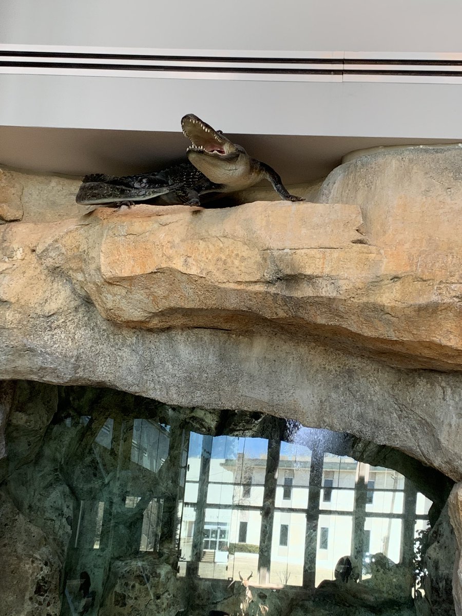AIACOC's tweet photo. Will you be joining us on #ArchTour20 to check out the Oklahoma Department of Wildlife project by #BeckDesign? Saturday, April 18 | 12-5 pm https://t.co/zVKZf1riCv https://t.co/dpgfQc1qpV