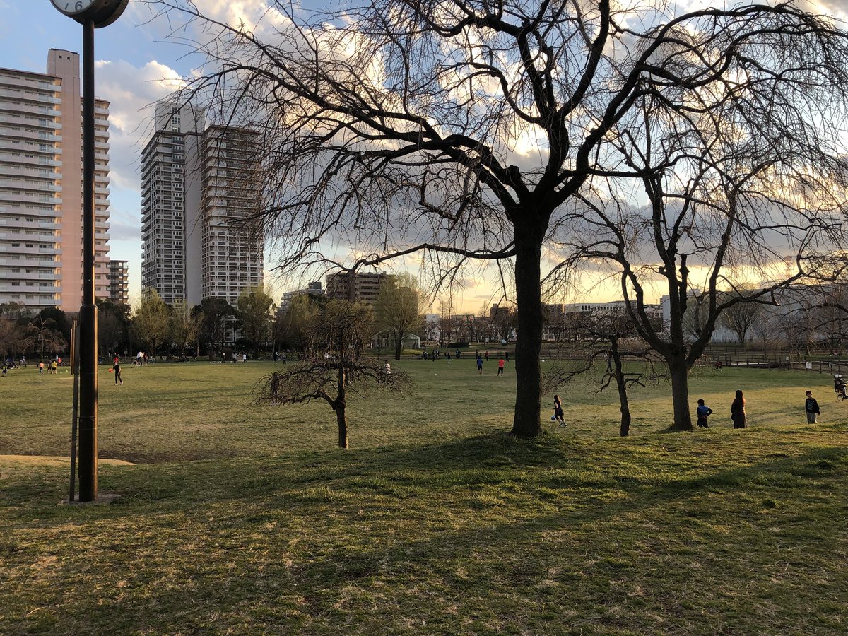 abura's tweet photo. サンデーライフ11日目
尾久の原公園は視界がひらけてて気持ちがいい
今日は天気も良くってめっちゃあったかくて休校の子供たちが元気に駆け回ってた https://t.co/pwS5xEHCCH