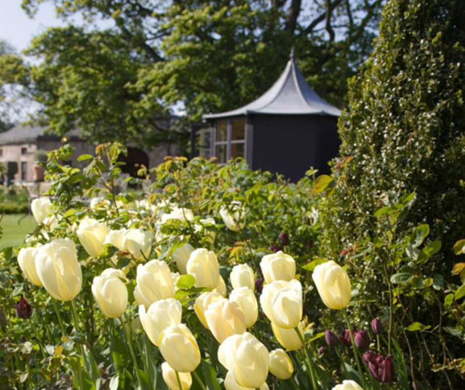 For a unique gift this Mother's Day (Sunday 22nd March) browse our collection of gift experiences. From afternoon tea, to a luxury overnight stay, picking the perfect present couldn't be easier > bit.ly/Prestonfield-M… #MothersDay #MothersDaygifts