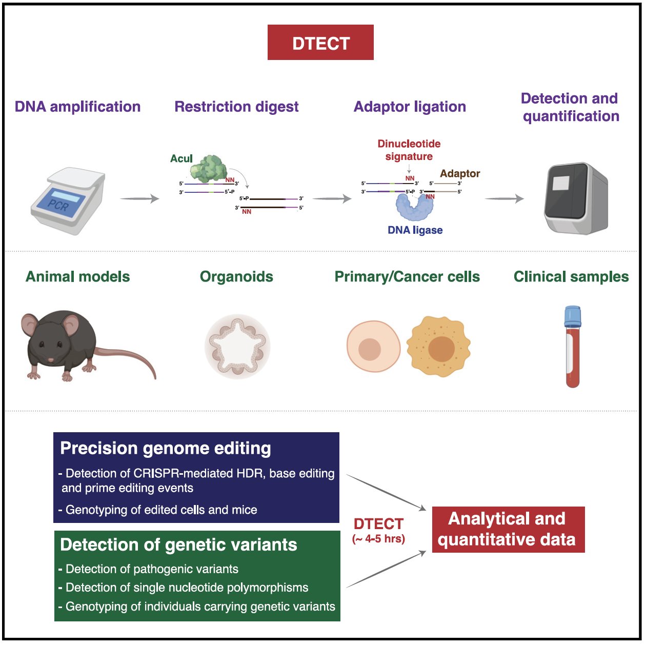 professional Blueprint smart Pierre Billon on Twitter: "Excited to share our latest work on a method for the detection of genomic signatures. We used it to detect marker-free precision genome editing #CRISPR-dependent HDR, #BaseEditing, #PrimeEditing professional Blueprint smart Pierre Billon on Twitter: "Excited to share our latest work on a method for the detection of genomic signatures. We used it to detect marker-free precision genome editing #CRISPR-dependent HDR, #BaseEditing, #PrimeEditing