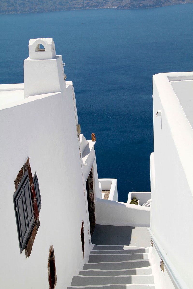 FerriesInGreece tweet media