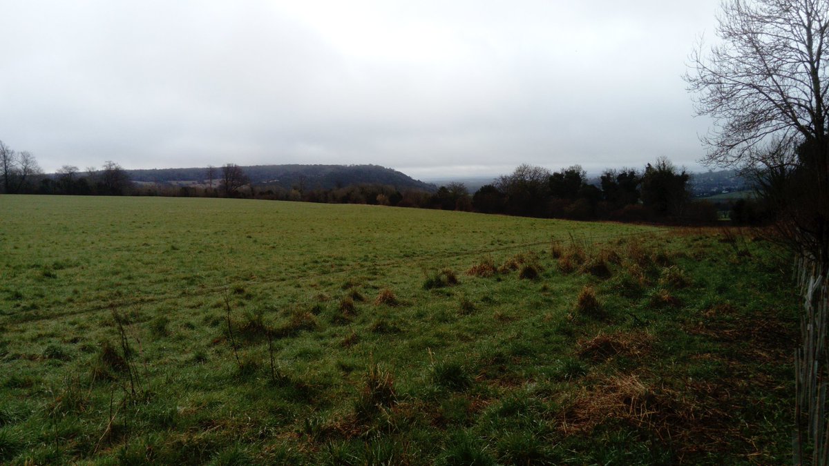 AndrewSalisbur2's tweet photo. Rather sloppy #mountainbike commute #Dorking to @RHSWisley but found some blue sky on #ockhamcommon https://t.co/2YqqZPMH3Q