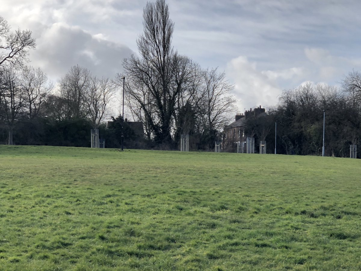 CattonKelly's tweet photo. Looking lot more sparkly and sunny this morning in #York than when took this pic of #newtreeplanting I counted 36 new trees 🌳 Wonderful ⁦@HobMoorFriends⁩ ⁦@CityofYork⁩ 👏🏻🌿 https://t.co/ttzXWABVVs