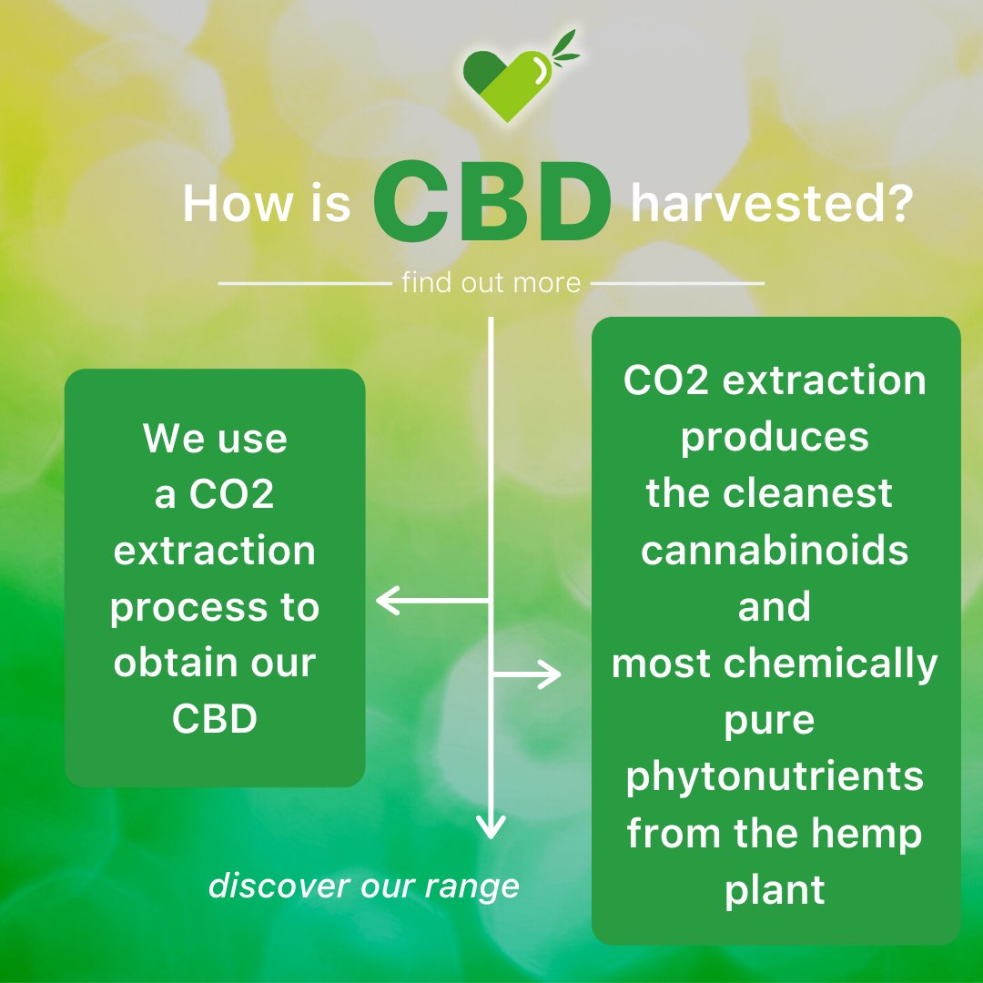 ReThinkCBDUK's tweet photo. We only produce the highest-quality, purest and natural CBD oil here at ReThink Products. You can find out exactly what goes into developing our range here: https://t.co/T3jktrCAp2 😊

#CBD #CBDoil #hemp #CBDhealth #wellbeing #CBDbenefits #CBDproducts #organic https://t.co/dSVxEAzEH8