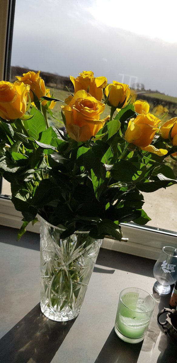When you get a surprise bunch of flowers! <a href="/LizHoggarth/">Liz Hoggarth 🇺🇦</a> #lovelysurprise #sunshine #teamdairy