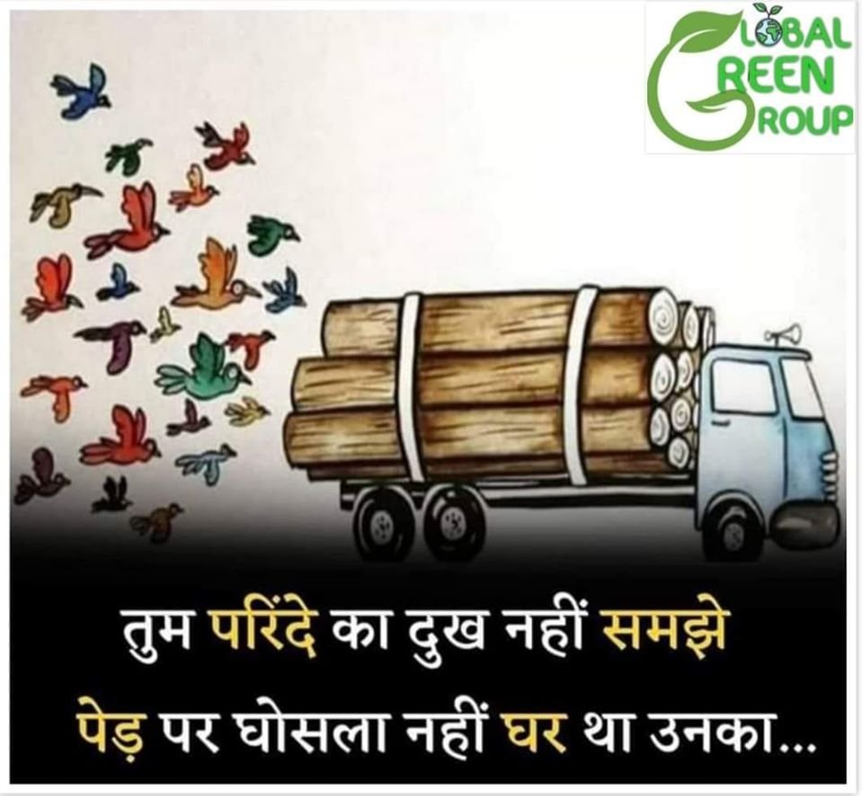 DoWRRDGR_MoJS's tweet photo. #PleaseSaveTrees🙏🌳
"तुम्हारी समझ में तो, तुमने बस कुछ पेड़ ही काटे थे पर तुम्हें क्या पता कि उस दिन तुमने कितनों के घर भी उजाड़े थे। "
🕊️🕊️🕊️🕊️🕊️ 🌴🌴🌴🌴🌴🕊️🕊️🕊️🕊️🕊️ https://t.co/PwA79ucMwC