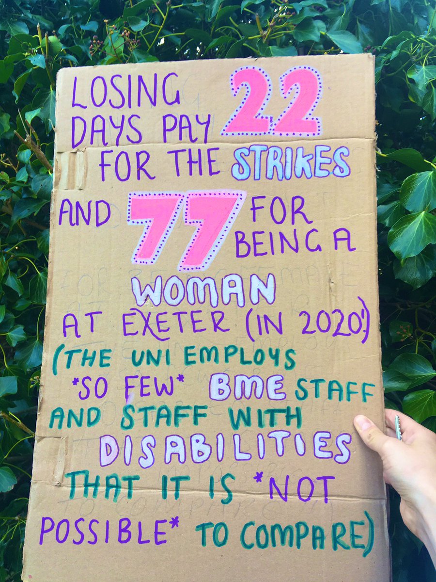 GreinerRosamund's tweet photo. #WordyPlacard #NeededToBeSaid #GenderPayGap #BMEPayGap #DisabilityPayGap #ExploitedAtExeter #ColourCoordinated #DownToTheSocks @PlacardSticks @ExeterUCU @StrikeStudents https://t.co/JqGj3F9Tjn