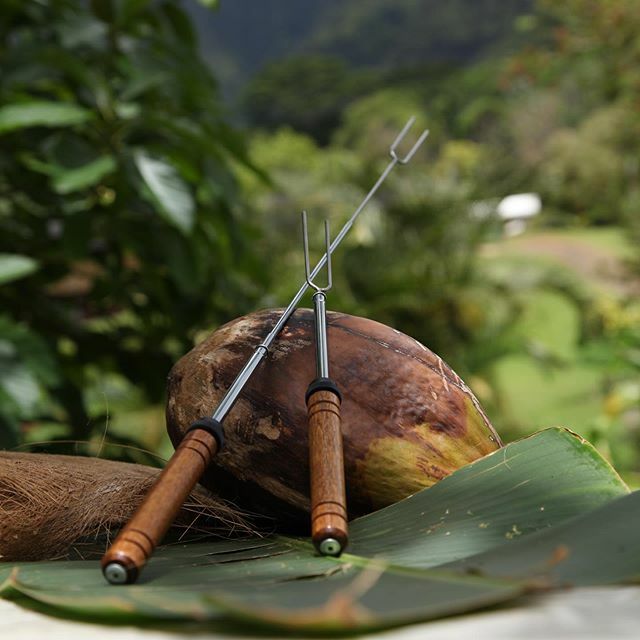 rollaroaster's tweet photo. Getting back to nature! #hawaii #nature #camping #marshmallow #campinghacks #campingwithkids #coconut #madeinamerica #aloha #marshmallowroastingsticks https://t.co/JcvHzGWE2E https://t.co/twHg6xQqpC