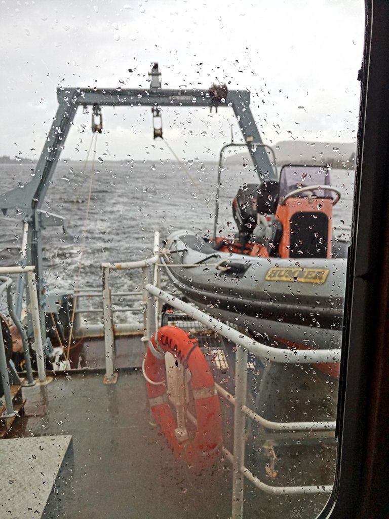 Saz Reed tweet media