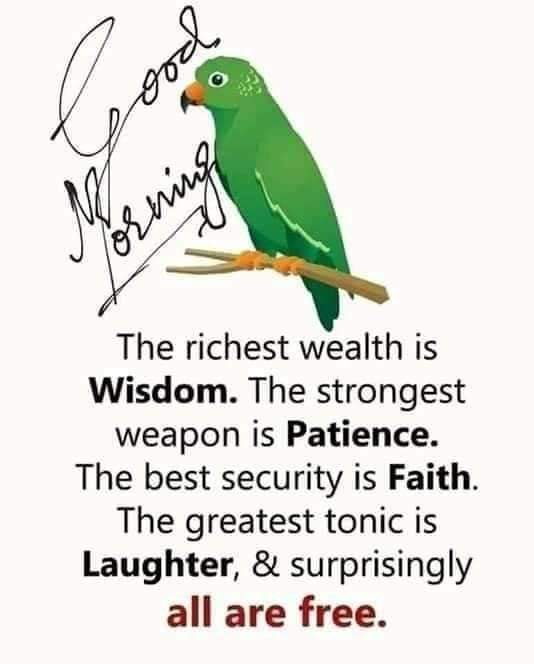 gracefulwings78's tweet photo. https://t.co/2hdJvrIThY