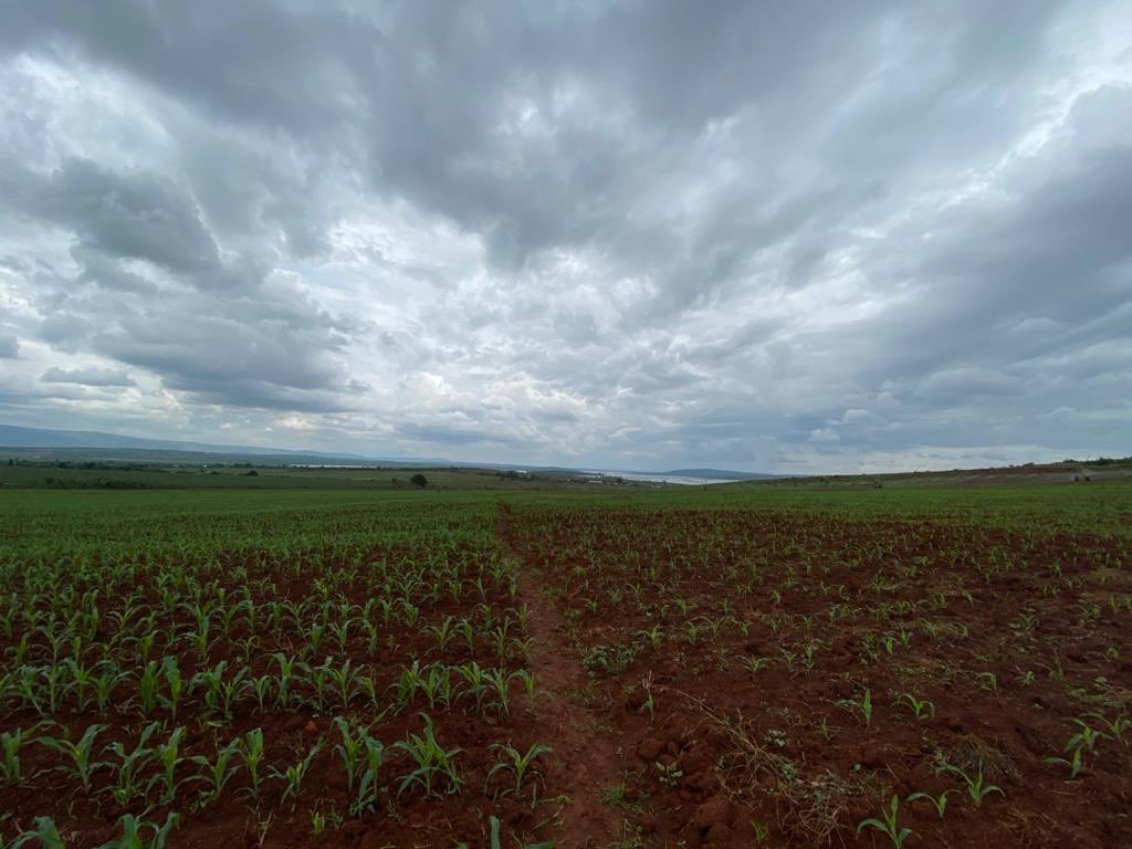 UrugwiroVillage's tweet photo. Today in Kirehe District, President Kagame inaugurates the Nasho Solar-powered Irrigation Project funded by the Howard G. Buffett Foundation. The project includes pivot irrigation systems serving 2099 small scale farmers, a 3.3 Mw solar power plant &amp; model village of 144 houses. https://t.co/VuOQTrveyE