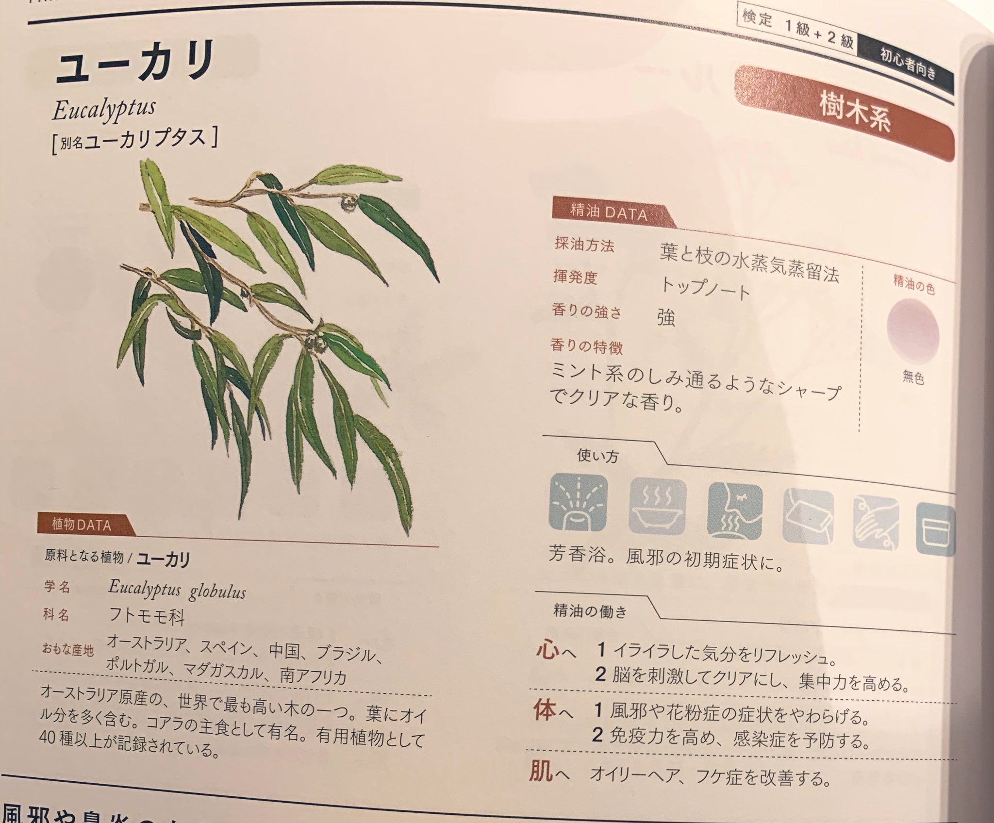 さや Saya Mitake No Twitter 妊娠授乳中は避ける必要があるのですが 一般的な感染症対策には 精油も使えます 気分転換にもなりますから 一石二鳥です 感染症対策 精油 最新4訂版 アロマテラピー図鑑 T Co Rnqgsjowfq さや Saya Mitake No Twitter 妊娠授乳中は避ける必要があるのですが 一般的な感染症対策には 精油も使えます 気分転換にもなりますから 一石二鳥です 感染症対策 精油 最新4訂版 アロマテラピー図鑑 T Co Rnqgsjowfq