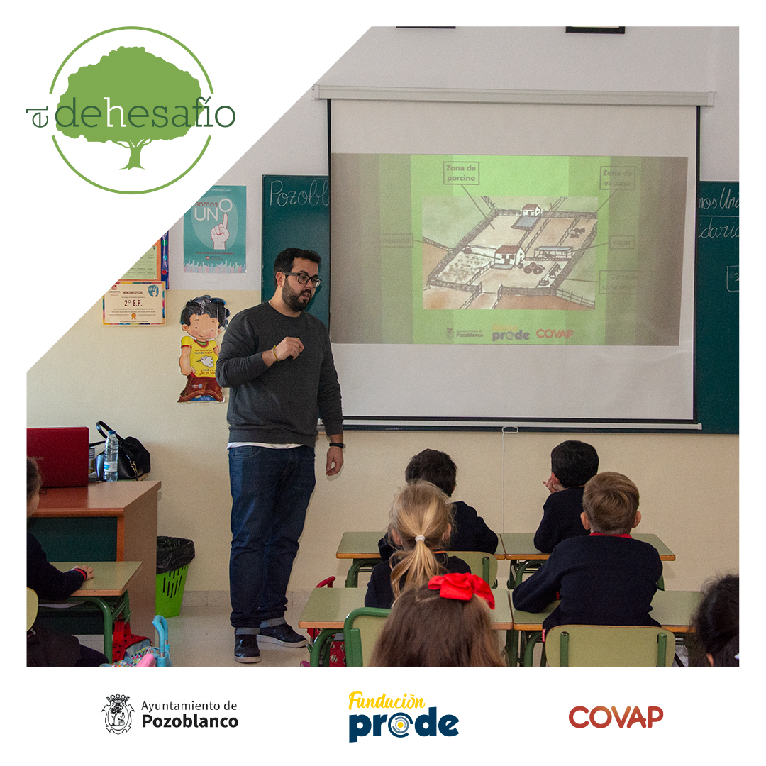eldehesafio's tweet photo. Compartimos las imágenes de los últimos centros que han participado en la segunda sesión de esta edición de El Dehesafío, en la que hemos hablado de los cambios en la dehesa a lo largo de las estaciones ⛈🐖🌳

¡Nos vemos en la tercera sesión, chic@s! 😊 https://t.co/RnqdjaKbcN